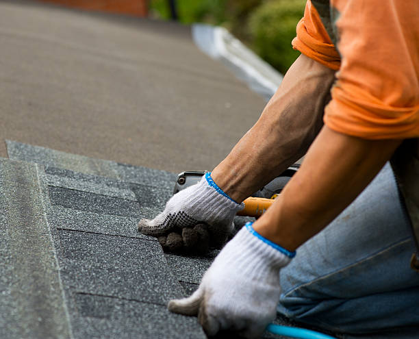 Roof Gutter Cleaning in Fifth Street, TX